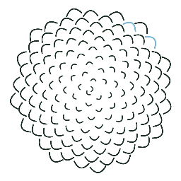 Conifer logo